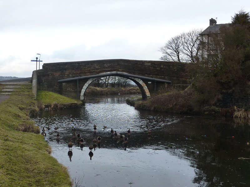 Canal Bridge